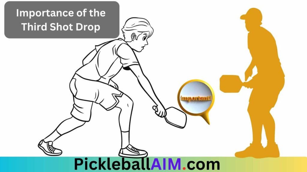 Importance of the Third Shot Drop in pickleball