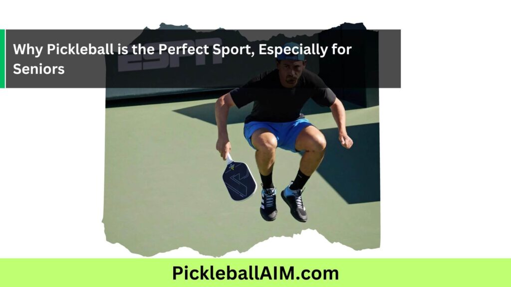 Pickleball for Seniors The Ideal Sport for Active Aging and Well-Being